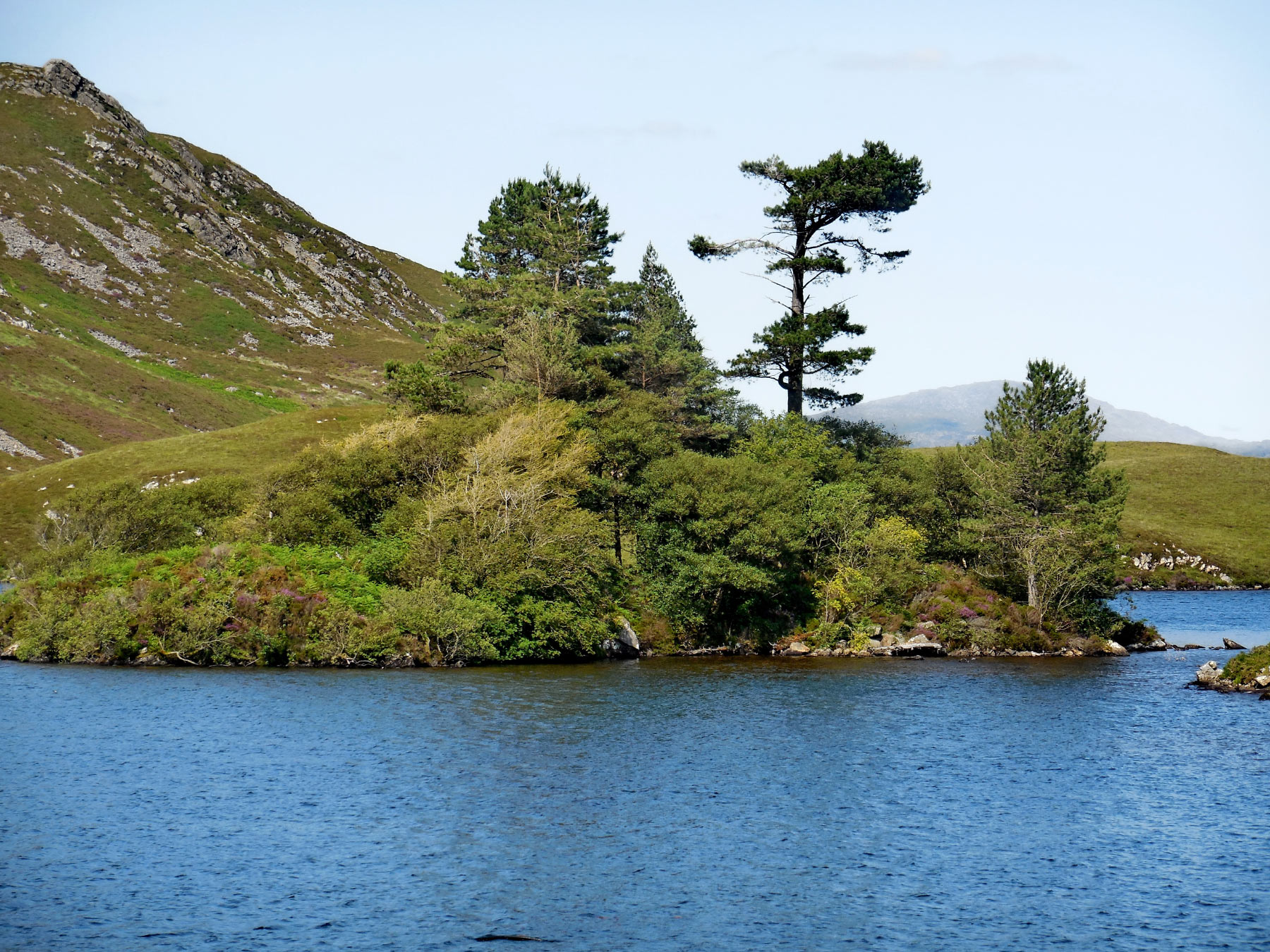 Gregennen lake, Snowdonia National Park